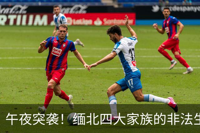 午夜突袭！缅北四大家族的非法生意如何被一举捣毁